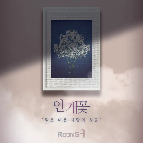 안개꽃