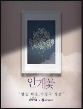 안개꽃