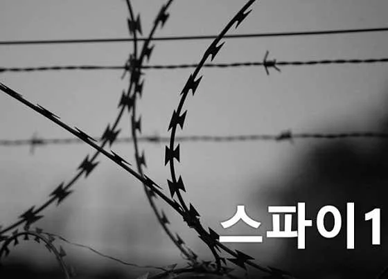 스파이