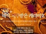해적 - 저주받은 캐리비호(AR)